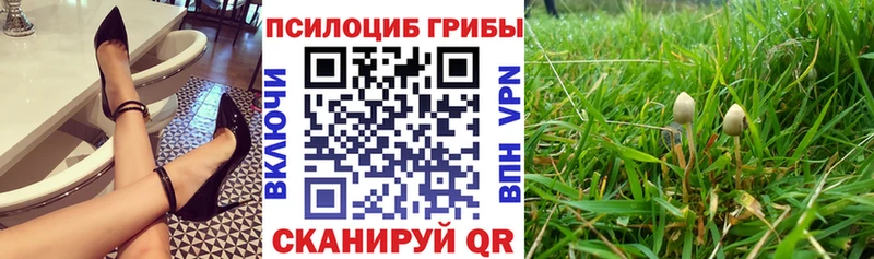 Галлюциногенные грибы Psilocybine cubensis  нарко площадка какой сайт  Чулым  где найти наркотики 